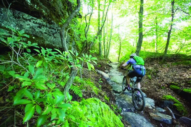 Jakes Rocks Trail Fest makes return today
